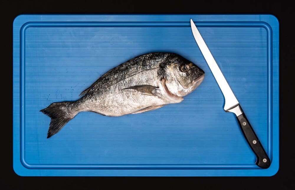 GN-Hygienebretter collection